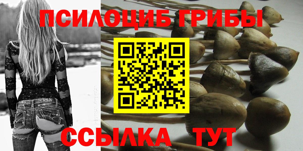 Псилоцибиновые грибы Cubensis Лыткарино