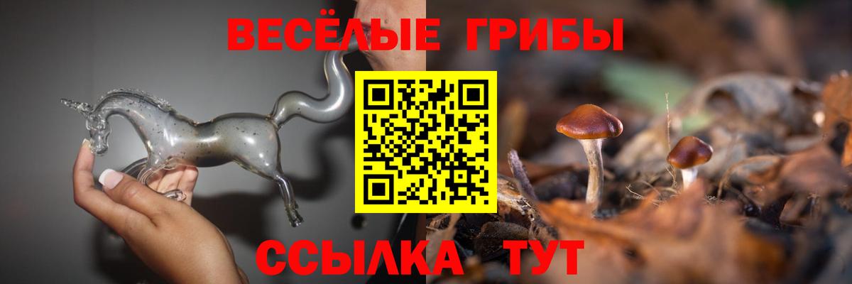 Лыткарино  Галлюциногенные грибы MAGIC MUSHROOMS  Галлюциногенные грибы Magic Shrooms  Вход с VPN 